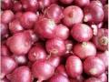 लासलगाव येथील कांदा भावात तेजी - Marathi News | Onion prices at Lasalgaon boom | Latest nashik News at Lokmat.com
