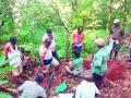 नळपाणी योजनेला श्रमदानातून संजीवनी - Marathi News | Sanjeevani from the grant of the drainage scheme | Latest ratnagiri News at Lokmat.com