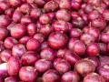 नवीन लाल कांद्याच्या दरात एकाच दिवसात ८०० रुपयांनी वाढ - Marathi News | New red onion price hike by Rs 800 in a single day | Latest nashik News at Lokmat.com