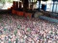 चाळीत साठवून ठेवलेला कांदा सडल्याने शेतकरी संकटात - Marathi News | The farmers are in crisis after the straw harvested onion | Latest nashik News at Lokmat.com
