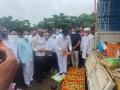 पिंपळगाव बसवंत बाजार समितीत टोमॅटो हंगामाचा शुभारंभ - Marathi News | Launch of Tomato Season at Pimpalgaon Baswant Bazar Samiti | Latest nashik News at Lokmat.com