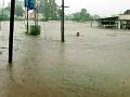पुसद उपविभागात पावसाचा कहर - Marathi News | Rainfall in Pusad subdivision | Latest yavatmal News at Lokmat.com