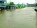आर्णी, घाटंजी, दारव्हात कहर - Marathi News | Arni, Ghatanji, Darwat Kahar | Latest yavatmal News at Lokmat.com