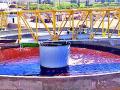 जलशुद्धीकरण केंद्रांवर आता बंदूकधारी - Marathi News | The gunmen now at the water purification center | Latest nashik News at Lokmat.com