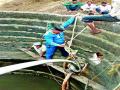 पिकाचे पाणी बंद करून ग्रामस्थांना दिले पाणी - Marathi News | The water given to the villagers by shutting down water from the crop | Latest nashik News at Lokmat.com