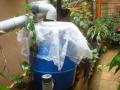 शासकीय इमारतीत साठवणार पावसाचे पाणी - Marathi News | Rainwater harvesting in government buildings | Latest chandrapur News at Lokmat.com