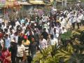 बीडमध्ये मोर्चा ; गुन्हेगारांना फाशी द्या ! - Marathi News | Agitation in Beed; Kill the criminals! | Latest beed News at Lokmat.com
