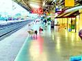 तुमसर रेल्वेस्थानकात भटक्या कुत्र्यांचा हैदोस - Marathi News | Hodos of wandering dogs in Tumsar railway station | Latest bhandara News at Lokmat.com