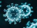 त्र्यंबकेश्वर तालुक्यात सध्या 20 कोव्हीड बाधा झालेले रुग्ण ! - Marathi News | At present there are 20 patients infected with covid in Trimbakeshwar taluka! | Latest nashik News at Lokmat.com