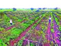 पालखेड कालव्याच्या पाण्याच्या अतिदाबामुळे शेतकऱ्यांचे नुकसान - Marathi News | Damage to farmers due to water pressure of Palkhed canal | Latest nashik News at Lokmat.com