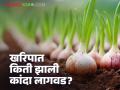 Onion Cultivation : राज्यभरात खरिप कांद्याची किती झाली लागवड? काय सांगते आकडेवारी? - Marathi News | | Latest agriculture News at Lokmat.com