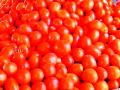 टमाट्यांचे दर पाहून सर्वसामान्यांचे डोळे लाल - Marathi News | Everyone's eyes are red when they see the price of tomatoes | Latest gadchiroli News at Lokmat.com