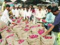 लाल कांदा : येवला, अंदरसूल बाजार आवारात नाराजी आवक वाढल्याने भावात घसरण - Marathi News | Red onion: Yeola, falling in the incoherent market premises due to rising inward spiral | Latest nashik News at Lokmat.com