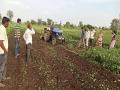 केलवड येथील शेतक-याने फिरवला सोयाबीनवर रोटाव्हेटर - Marathi News | The rotavator on soybean was rotated by a farmer at Kelvad | Latest ahilyanagar News at Lokmat.com