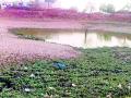 मामा तलावांच्या दुरुस्तीचा प्रश्न केव्हा मार्गी लागणार? - Marathi News | Poor condition of lakes due to lack of repairs | Latest gadchiroli News at Lokmat.com