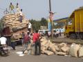 मनमाडला ट्रकमधील गोण्या पडल्याने वाहतूक कोंडी - Marathi News | Traffic jam due to falling sacks in Manmad truck | Latest nashik News at Lokmat.com