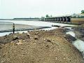 पालखेडचे पाणी आज सोडणार - Marathi News | To leave Palkhed water today | Latest nashik News at Lokmat.com