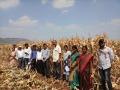 दुष्काळ सदृश परिस्थिती पहाणीसाठी सत्यामापन समिती - Marathi News | Satyapati Committee to look into the situation of drought like situation | Latest nashik News at Lokmat.com