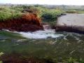 टाकळी कडेवडी शिवारात घोडचा कालवा फुटला - Marathi News | A horse's canal broke out in the shivar near the tank | Latest ahilyanagar News at Lokmat.com