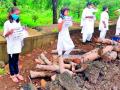 सेवाग्रामात वृक्ष बचाव आंदोलन - Marathi News | Tree rescue movement in Sevagram | Latest vardha News at Lokmat.com