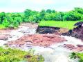 जिल्ह्यातील चार तालुक्यात अतिवृष्टी - Marathi News | Excessive rainfall in four talukas of the district | Latest yavatmal News at Lokmat.com