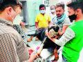 ‘रुद्र’ने रक्त देऊन वाचविले सात महिन्याच्या पिल्लाचे प्राण - Marathi News | ‘Rudra’ saved the life of a seven month old baby by donating blood | Latest vardha News at Lokmat.com