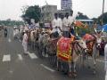 माजलगावात शेतकऱ्यांचा बैलगाडी मोर्चा - Marathi News | Farmer's bullock cart in Majalgaon | Latest beed News at Lokmat.com
