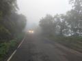 बुलडाणा शहर हरविले धुक्यात - Marathi News | The city of Buldana lost in the fog | Latest buldhana News at Lokmat.com