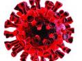 अ‍ॅँटिजेन चाचणीत २२१ व्यक्ती पॉझिटिव्ह - Marathi News | 221 people tested positive for antigen | Latest nashik News at Lokmat.com