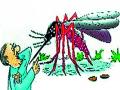 चंद्रपुरात डासांचा प्रादुर्भाव वाढला - Marathi News | There was increased incidence of mosquitoes in Chandrapur | Latest chandrapur News at Lokmat.com