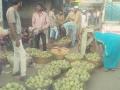 सातपुडय़ातील रानमेवा बाजारपेठेत दाखल - Marathi News | Ranveva Market in Satpudi entered the market | Latest nandurbar News at Lokmat.com