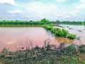 ५० एकर शेती पूरपाण्याखाली - Marathi News | 50 acres of farmland under water | Latest nashik News at Lokmat.com