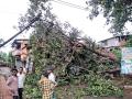 सिंधुदुर्ग : महावितरणला वादळाचा तडाखा, कणकवलीत बरसला पाऊस : पाच वीज उपकेंद्रांना फटका - Marathi News | Sindhudurg: Mahavitaran hit storm, rain damaged in Kankavali: Five power sub-stations hit | Latest sindhudurga News at Lokmat.com