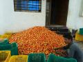 बाजारभावाने टमाटे पिकाची लागली वाट - Marathi News | The market is waiting for the tomato crop | Latest nashik News at Lokmat.com