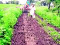 शेतपांदणीची ‘वाट’ बिकट - Marathi News | The ‘wait’ for farming is dire | Latest vardha News at Lokmat.com
