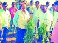 बोगस बियाण्यांचा शेतकऱ्यांना फटका - Marathi News | Bogs seeds hit farmers | Latest yavatmal News at Lokmat.com