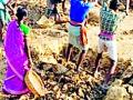 दुष्काळग्रस्त गावाचं शिवार पाणीदार झालं - Marathi News | Due to drought-hit villages, the water has become densely populated | Latest yavatmal News at Lokmat.com
