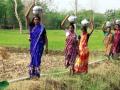 गोंदिया जिल्ह्यात प्रशासन फाईलमध्ये आणि महिला लाईनमध्ये - Marathi News | Water shortage in Gondia district | Latest gondia News at Lokmat.com