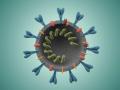 कोणत्याही परिस्थितीत नागपुरात संसर्ग वाढता कामा नये  - Marathi News | Under no circumstances should the infection increase in Nagpur | Latest nagpur News at Lokmat.com