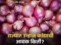 Onion Market : उन्हाळ कांदा दरात घसरण, लासलगाव बाजार समितीत काय भाव मिळाला?  - Marathi News | Latest News Todays Onion Market Price in maharashtra market yards | Latest agriculture News at Lokmat.com
