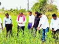 जिल्ह्यातील तीनही आमदार कसतात शेती; सेंद्रीय शेतीकडे ओढ - Marathi News | All three MLAs in the district are engaged in agriculture; Attraction to organic farming | Latest bhandara News at Lokmat.com