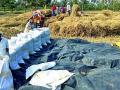 धानाचा उतारा घसरल्याने शेतकरी संकटात - Marathi News | Due to the downfall of Dhan, the farmer is in trouble | Latest bhandara News at Lokmat.com
