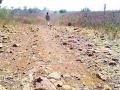 स्वातंत्र्याचे आम्हा सांगू नका काही..! - Marathi News | Do not tell us freedom ..! | Latest chandrapur News at Lokmat.com