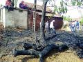 मोहबाळा गावात दोन गोठ्यांना आग - Marathi News | Two jam fire in Mohabbale village | Latest chandrapur News at Lokmat.com