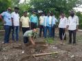 हरितक्रांतीसाठी नपा कर्मचाऱ्यांचा पुढाकार - Marathi News | NAPA employees' initiative for green revolution | Latest jalgaon News at Lokmat.com