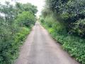 लोकवर्गणीतून काढले रस्त्यावरील अतिक्रमण - Marathi News |  Road encroachment removed from the community | Latest nashik News at Lokmat.com