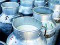 दुग्ध व्यवसायाने ‘हस्तकला’स मिळाला जगण्याचा आधार - Marathi News | Dairy is the basis for 'Handicrafts' | Latest gondia News at Lokmat.com