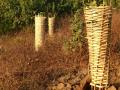 वृक्षांकरीता बांबूपासून निर्मित संरक्षण जाळीचा उपयोग - Marathi News | The use of bamboo protection nets for trees | Latest nandurbar News at Lokmat.com