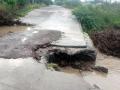 परभणी : सेलू परिसरात दमदार पाऊस; पिकांना मिळाले जीवदान - Marathi News | Parbhani: Strong rain in Selu area; Gives Life to Crops | Latest parabhani News at Lokmat.com