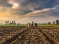 पिंपळगाव वाखारीत पावसाअभावीशेतकऱ्यांची सर्व कामे खोळंबली - Marathi News | Due to lack of rain in Pimpalgaon Wakhari, all the work of farmers was delayed | Latest nashik News at Lokmat.com